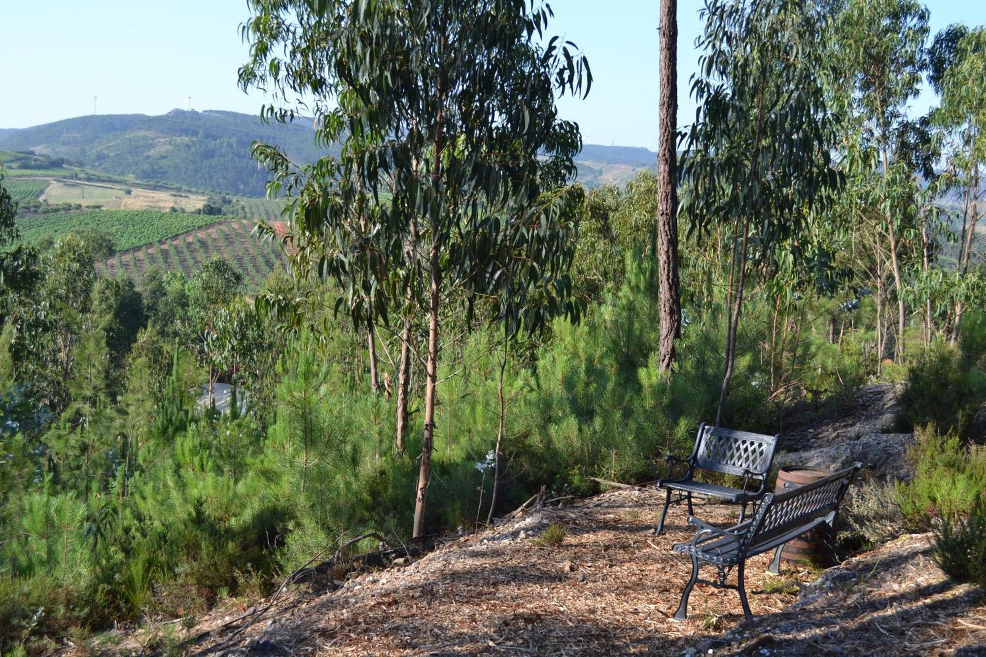 Mountview Villa Alenquer Buitenkant foto